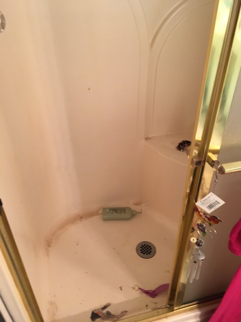 Shower in need of a good deep cleaning