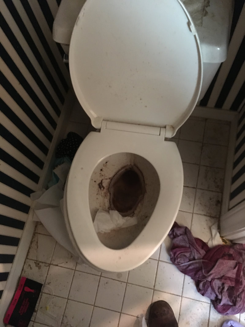 Bad bathroom before being professionally cleaned